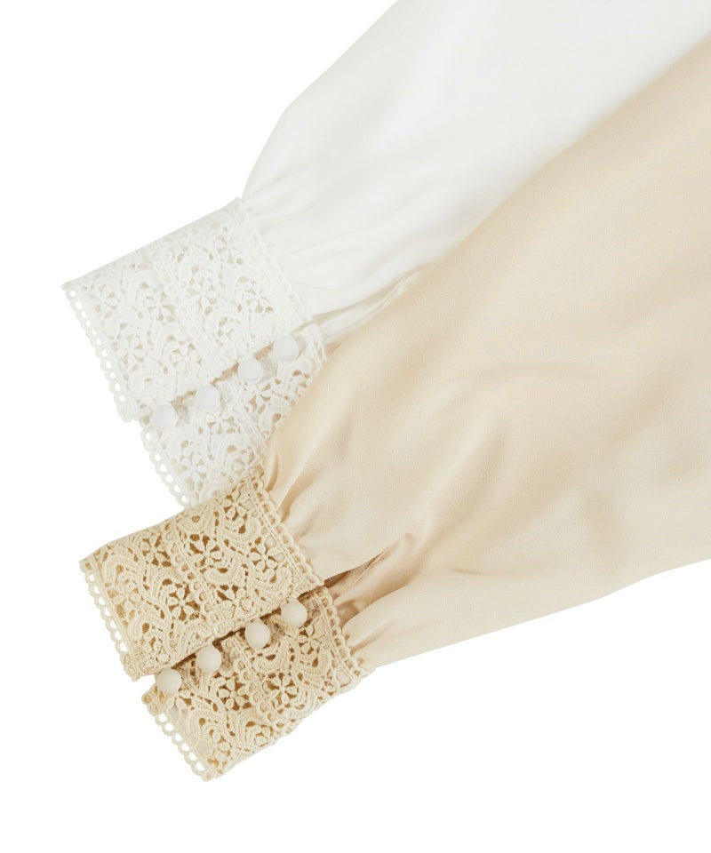 カラーバリエーション