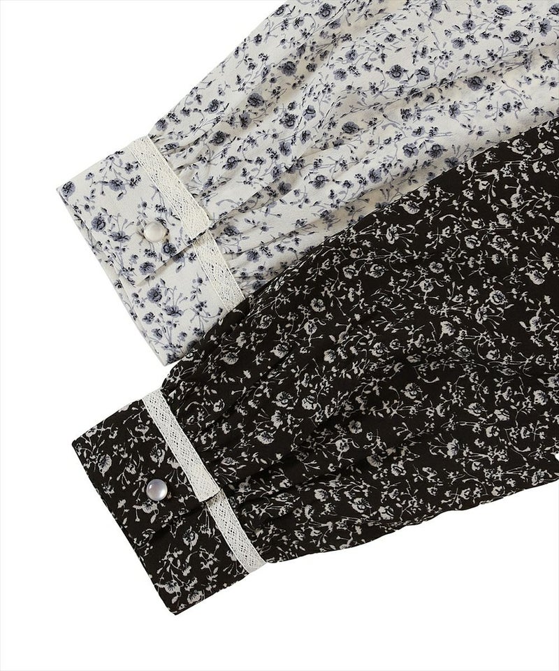 カラーバリエーション