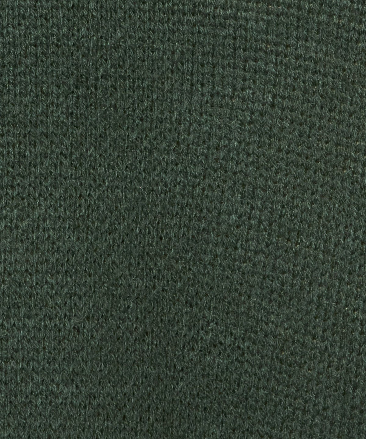 生地アップ (green)