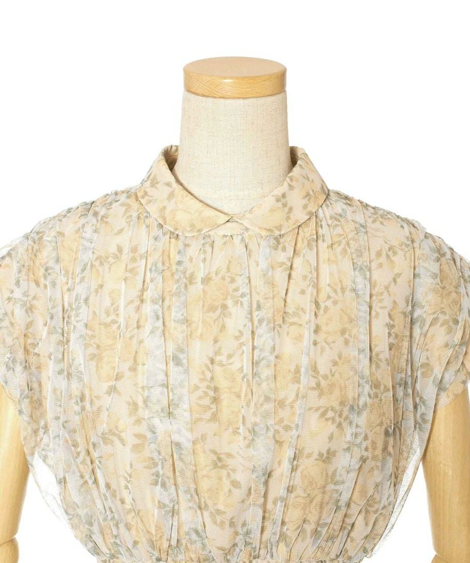 フロントアップ (light yellow)