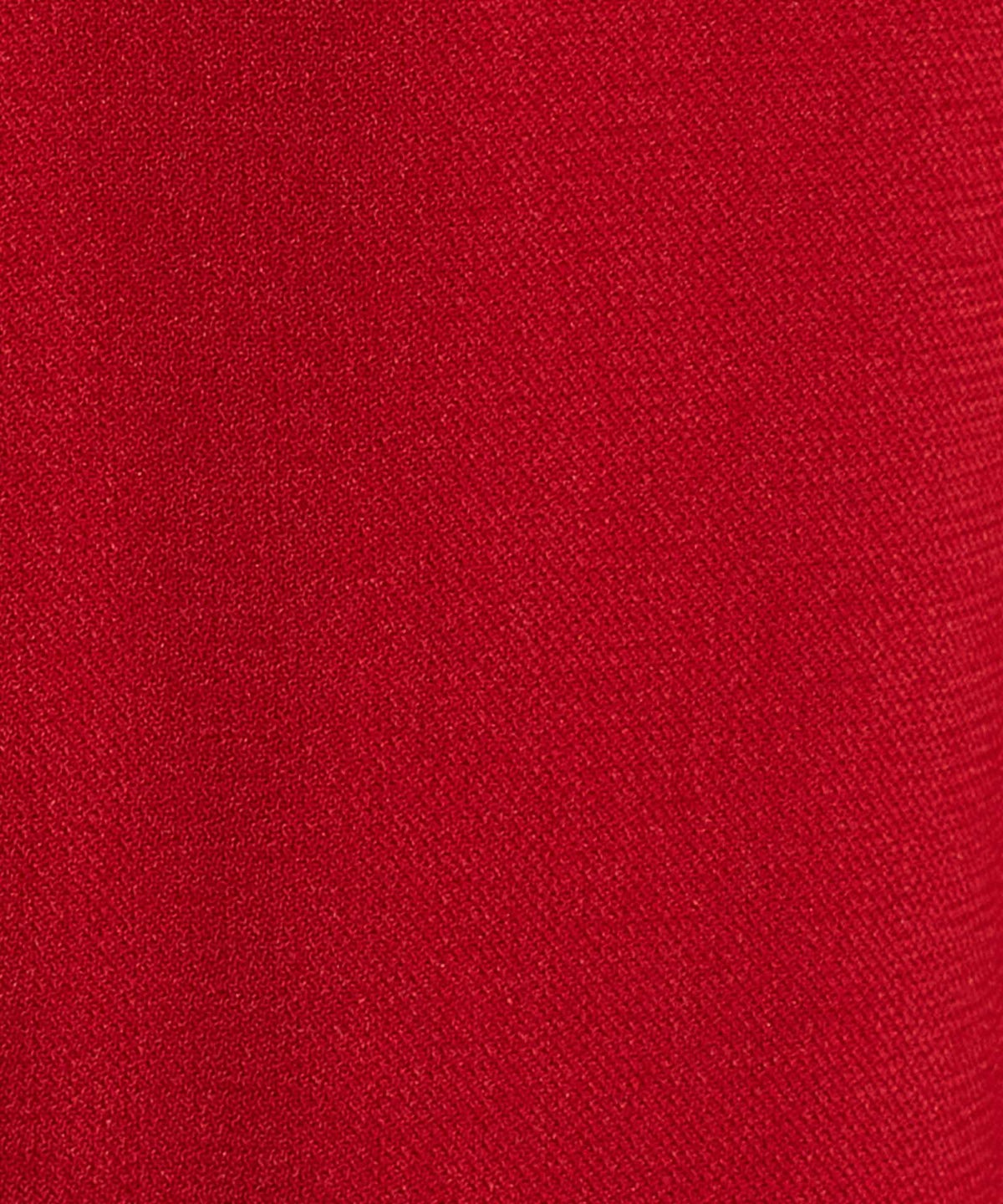 生地アップ (red)