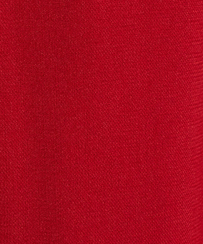 生地アップ (red)