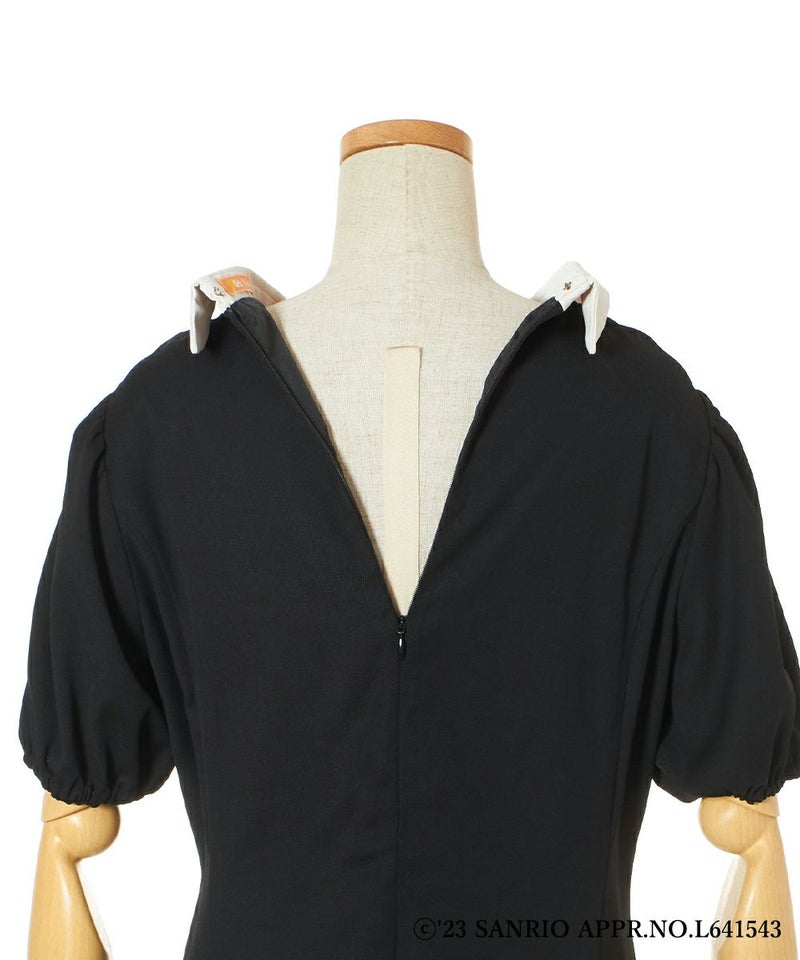 バックファスナー (black)