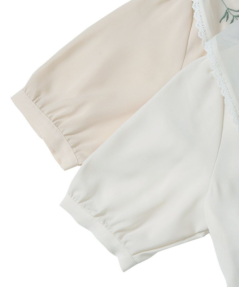 カラーバリエーション