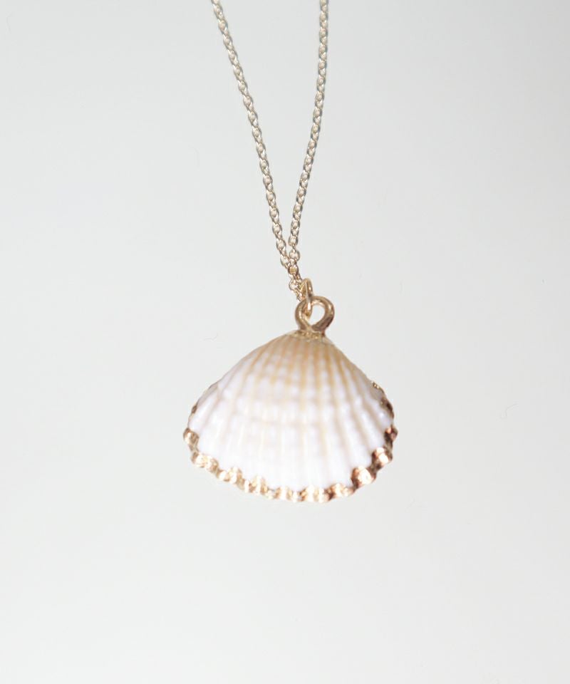 シェル裏面 (off white)