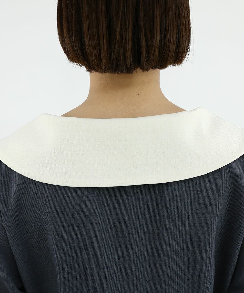 ビッグカラークレリックワンピース/an3 Limited [49DE02i004] | F