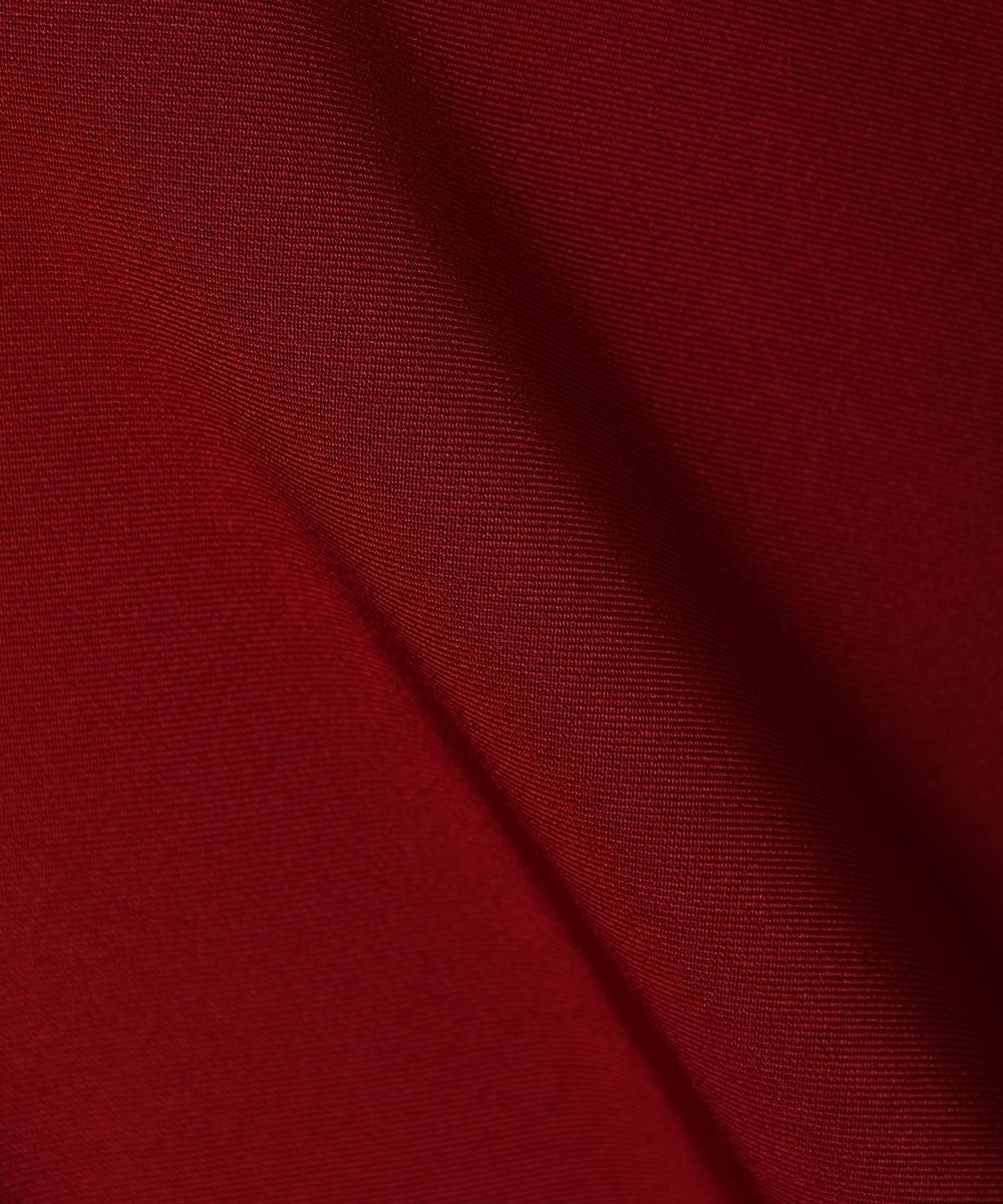 生地アップ (red)