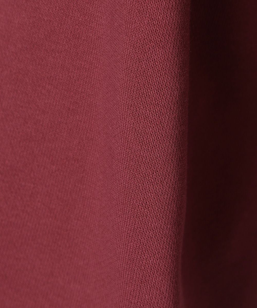 生地アップ (red)