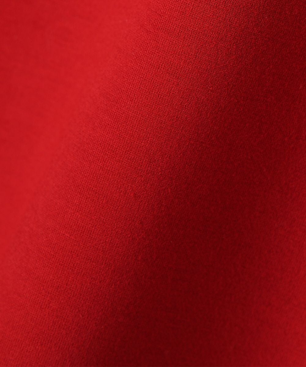 生地アップ (red)