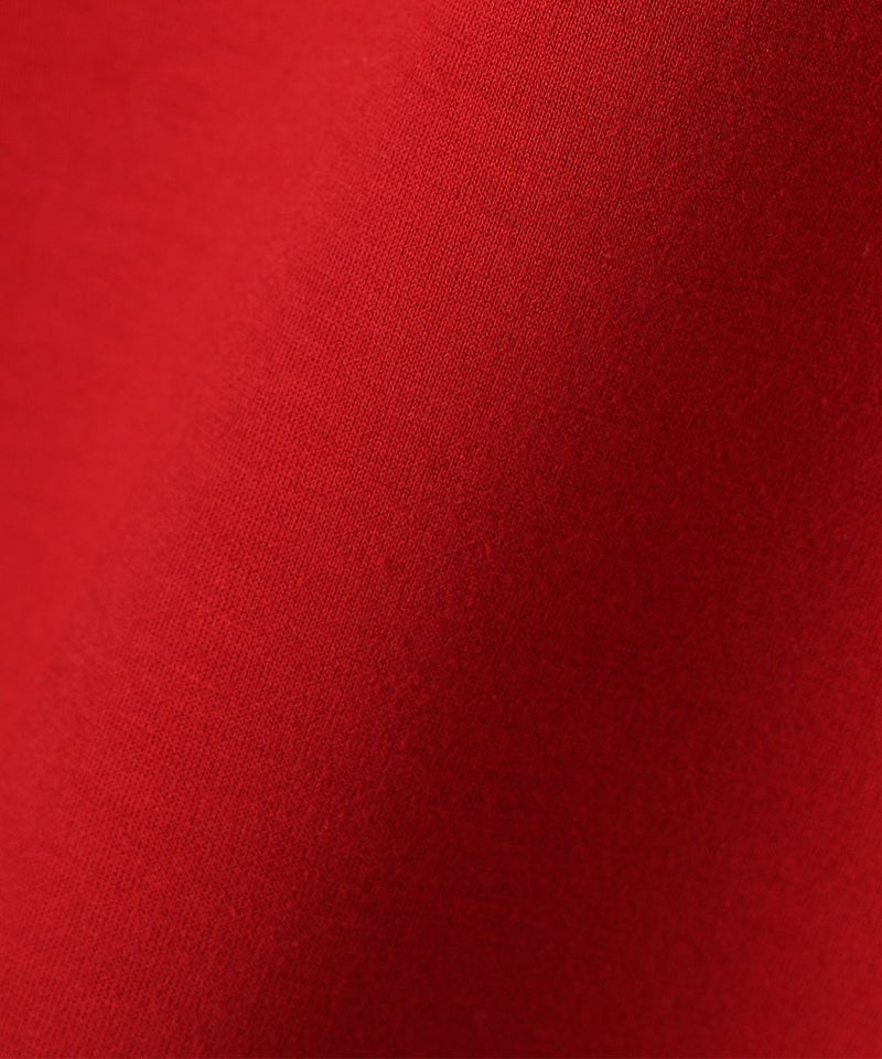 生地アップ (red)