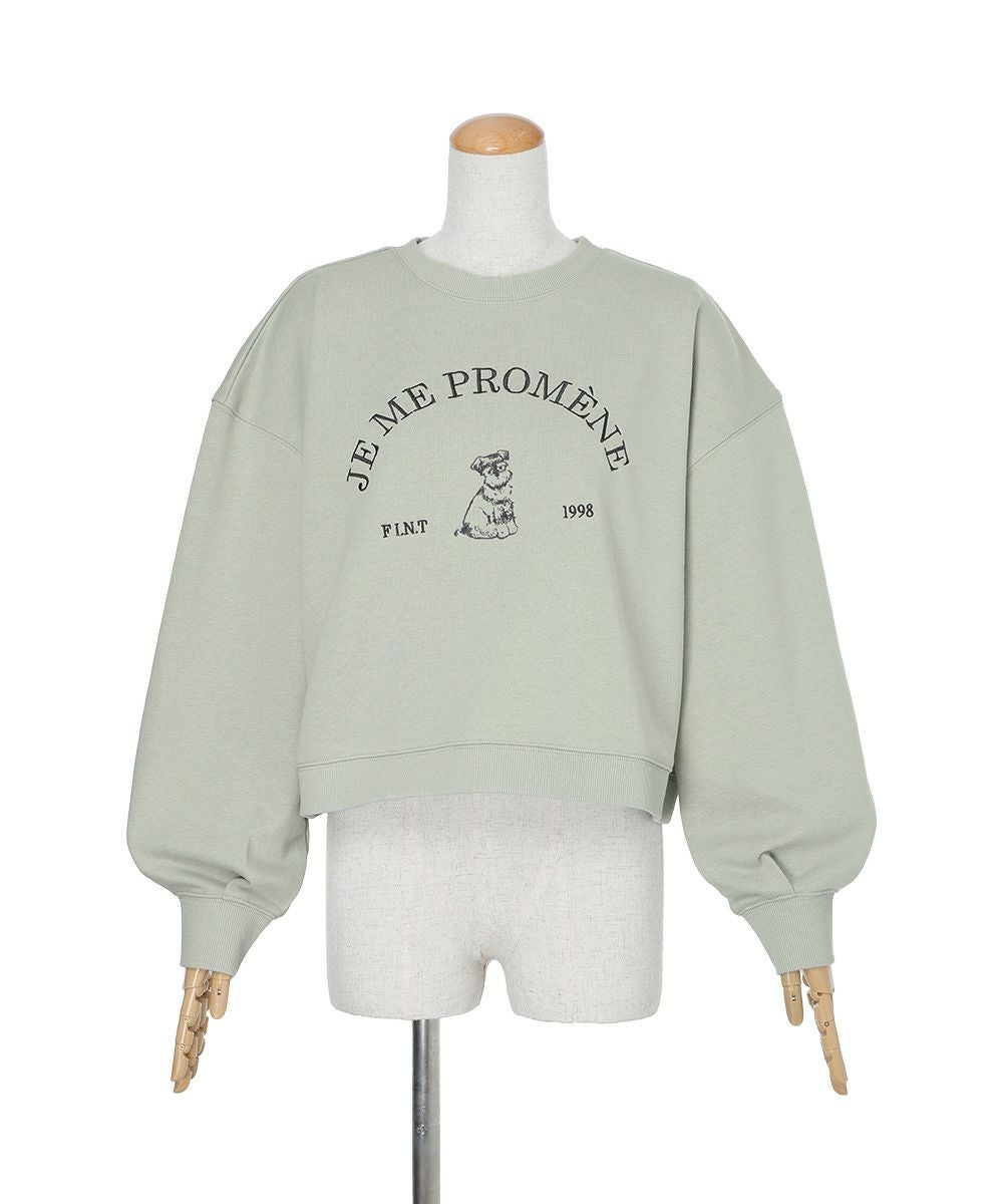 mint gray