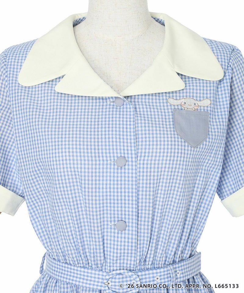 フロントアップ (blue×white)