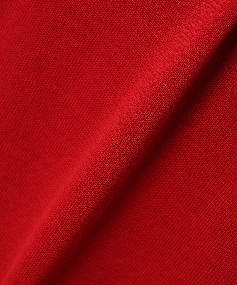 生地アップ (red)