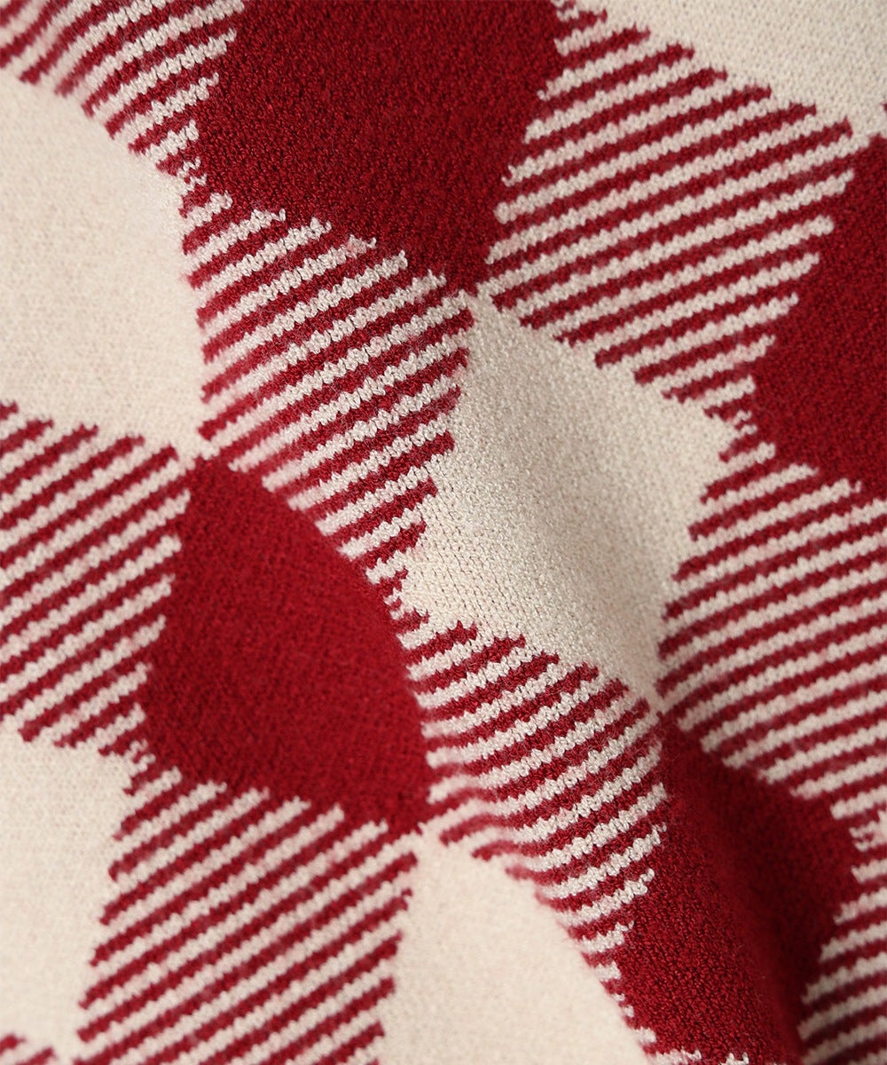 生地アップ (red)