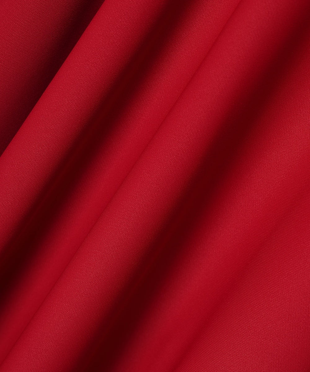 生地アップ (red)