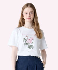 pink /170cm